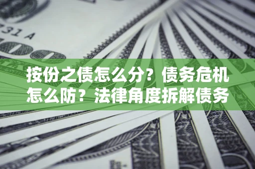 武汉按份之债怎么分？债务危机怎么防？法律角度拆解债务分配与风险自保指南