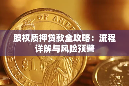 武汉股权质押贷款全攻略：流程详解与风险预警