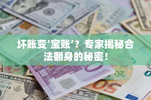 武汉坏账变‘宝账’？专家揭秘合法翻身的秘密！