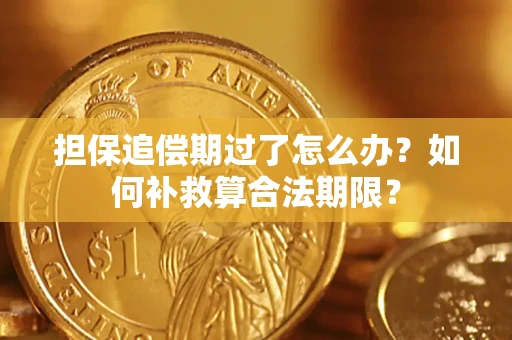 武汉担保追偿期过了怎么办？如何补救算合法期限？