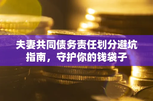 武汉夫妻共同债务责任划分避坑指南，守护你的钱袋子
