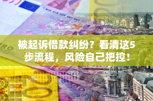 武汉被起诉借款纠纷？看清这5步流程，风险自己把控！