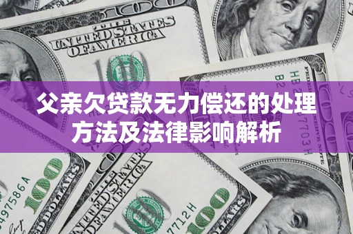 武汉父亲欠贷款无力偿还的处理方法及法律影响解析