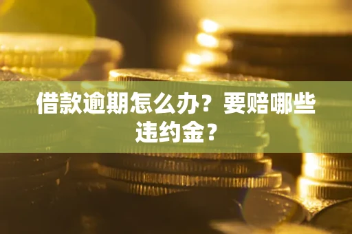 武汉借款逾期怎么办？要赔哪些违约金？