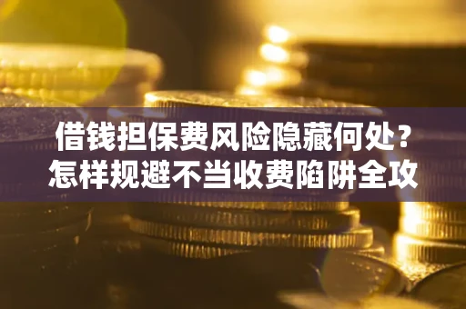 武汉借钱担保费风险隐藏何处？怎样规避不当收费陷阱全攻略！