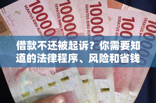 武汉借款不还被起诉？你需要知道的法律程序、风险和省钱技巧