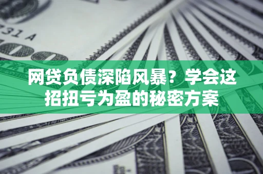 武汉网贷负债深陷风暴？学会这招扭亏为盈的秘密方案